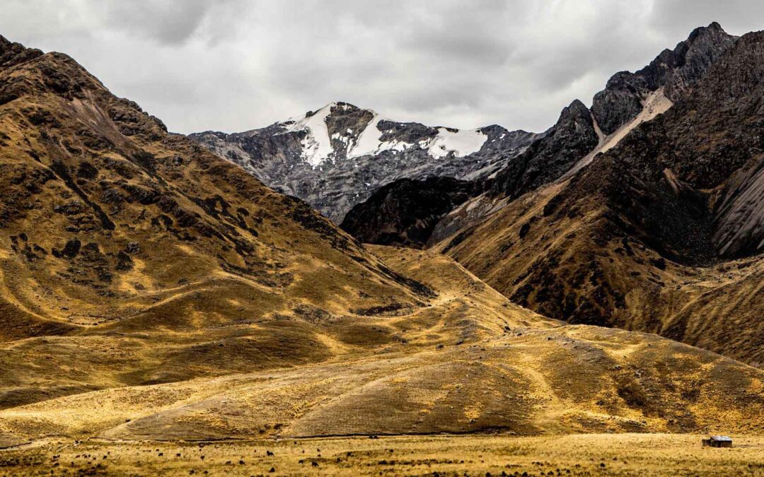 Bus Turístico Puno – Cusco «Ruta del Sol»