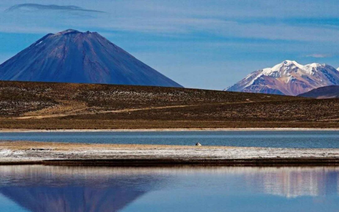 Reserva Nacional del Salar y Agua Blanca
